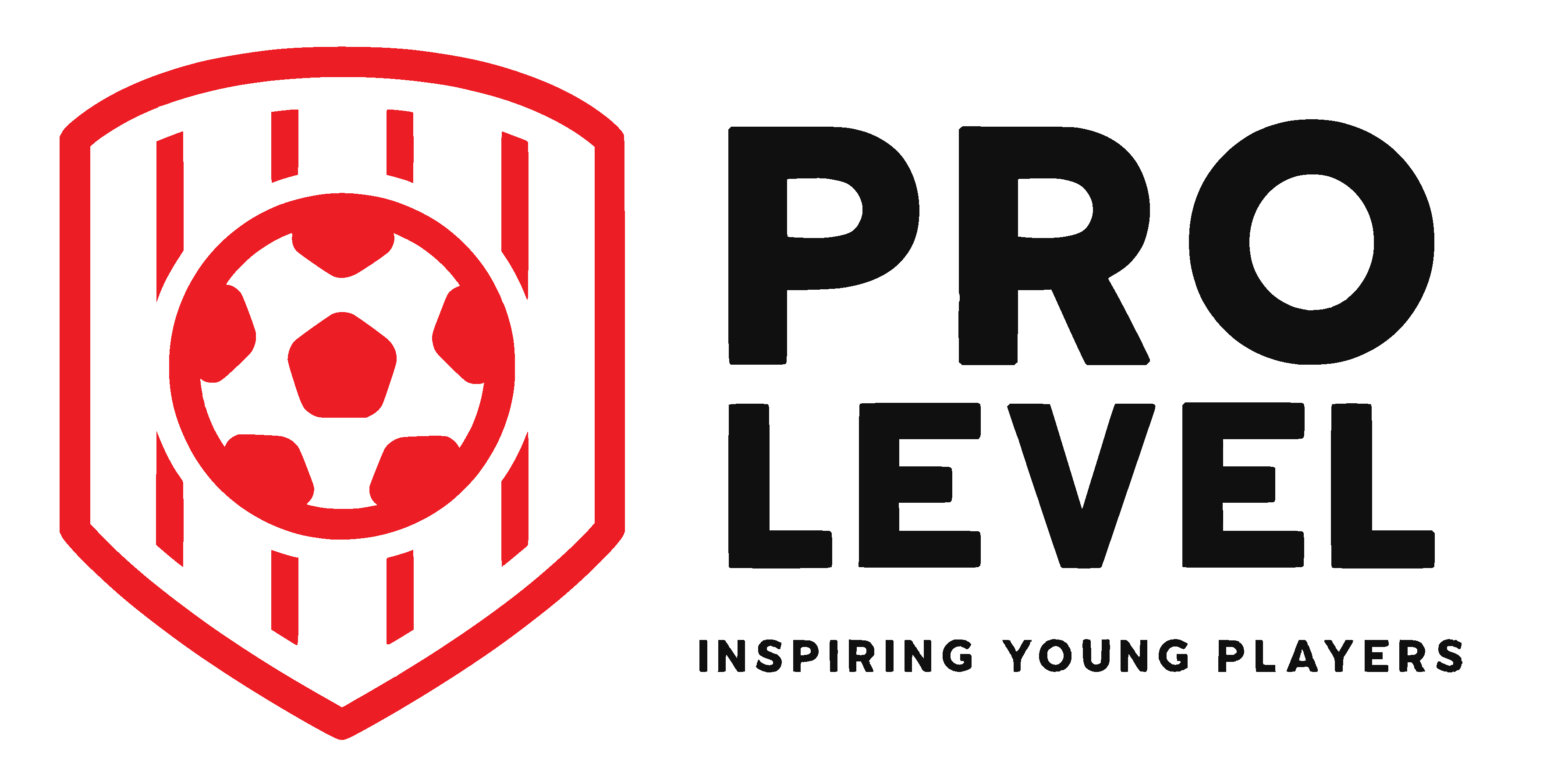 Pro Level Logo